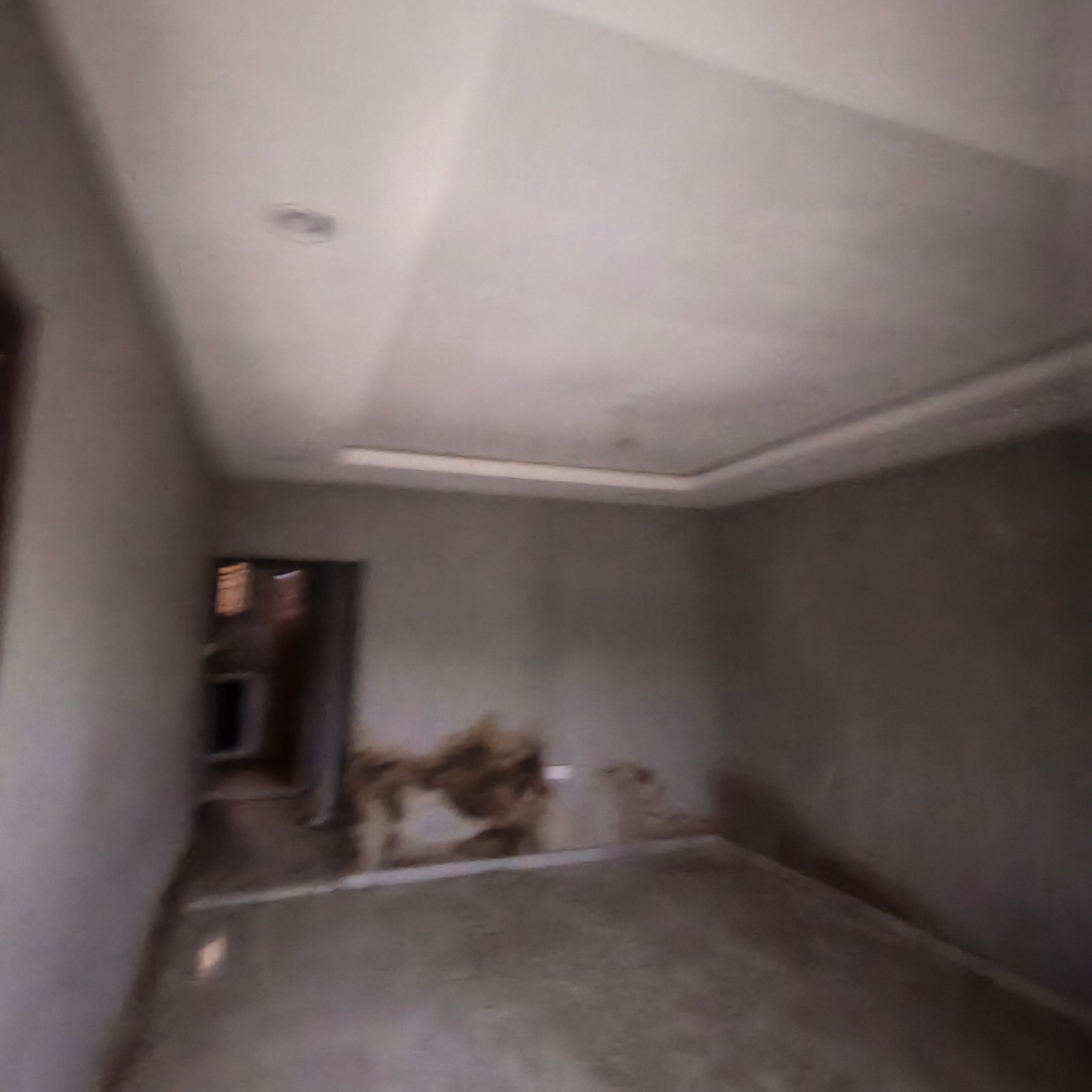 POP Mini Flat Near Bus Stop property image