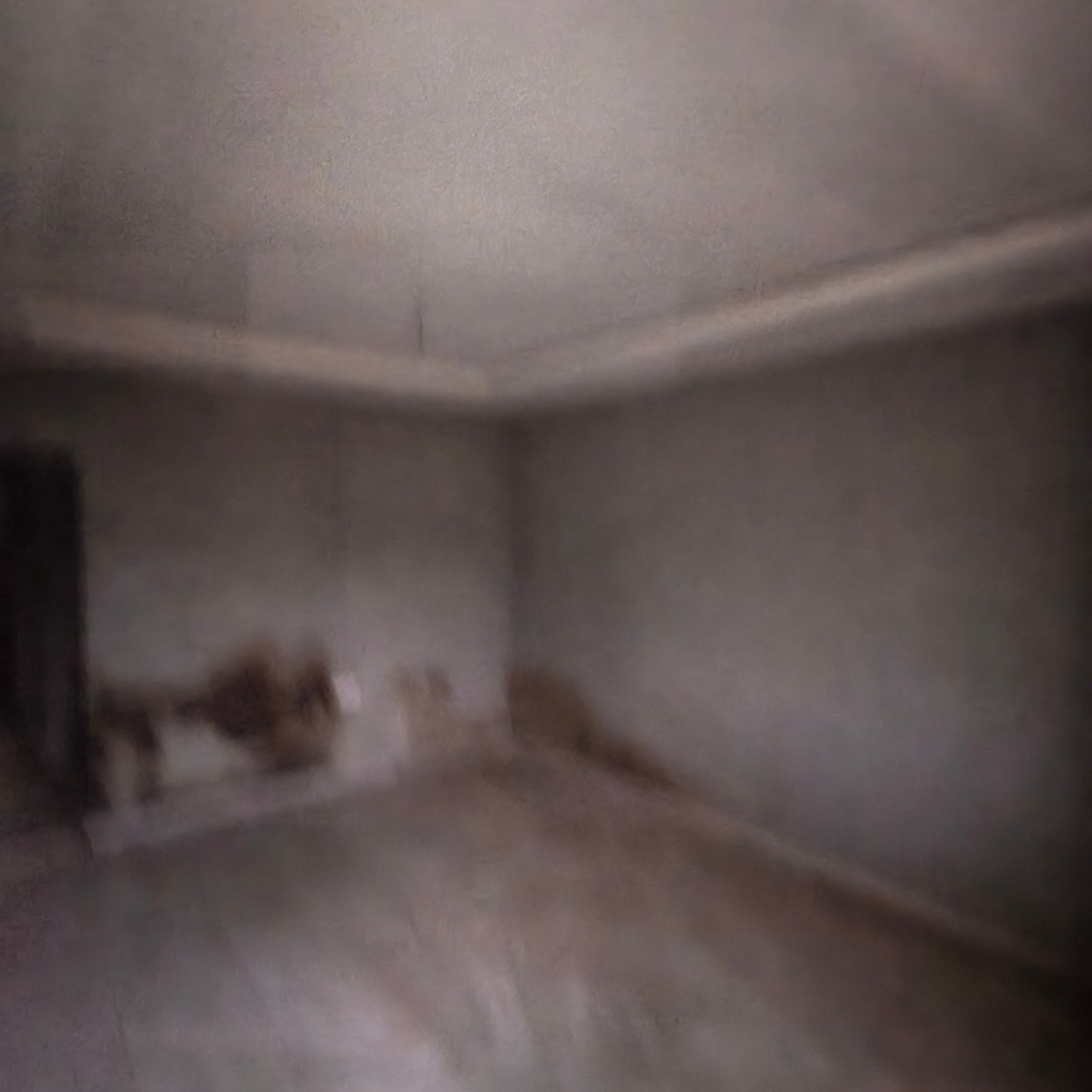 POP Mini Flat Near Bus Stop property image