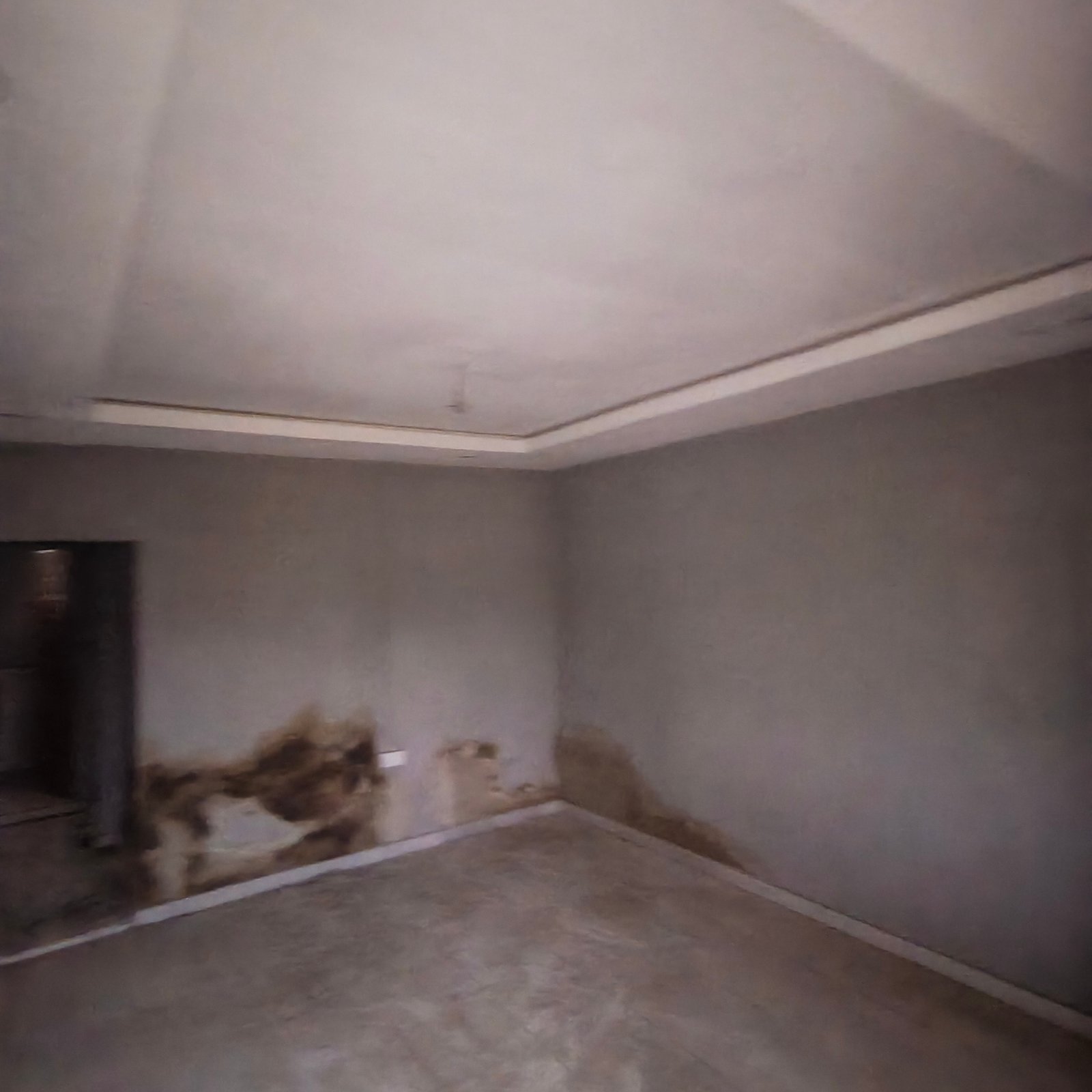 POP Mini Flat Near Bus Stop property image