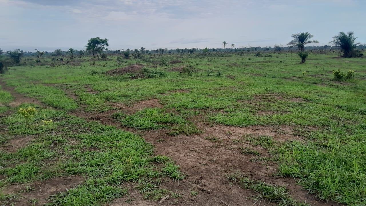 Massive Acres Of Estate Land
